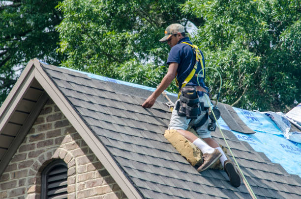 Best Roof Replacement Cost  in Algonac, MI